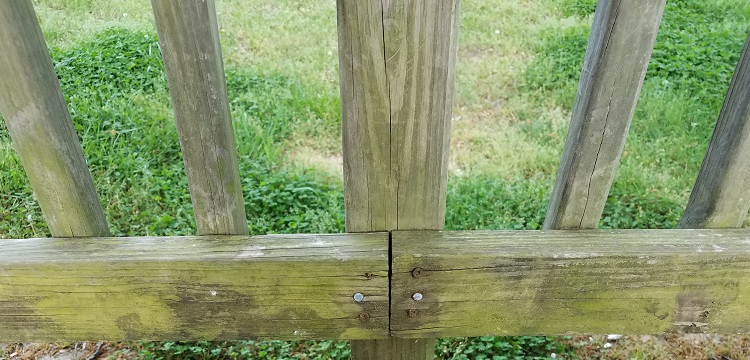 兒童玩具檢測項目有哪些 哪里可以辦理 ?塑料玩具檢測要注意什么 ?健明迪