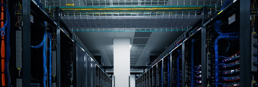 麥角菌檢測(cè)