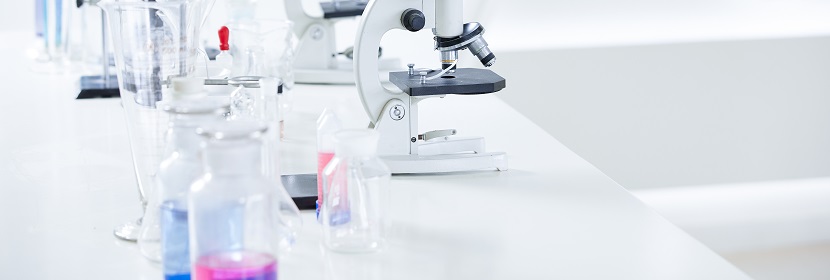 急性經(jīng)皮毒性試驗(yàn)