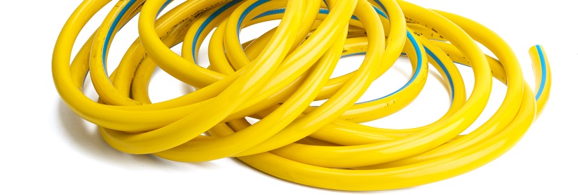 維甲酸誘導第一、二鰓弓綜合征大鼠模型